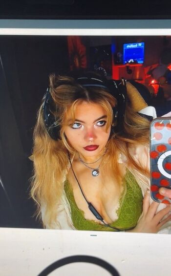 aiiygatorz