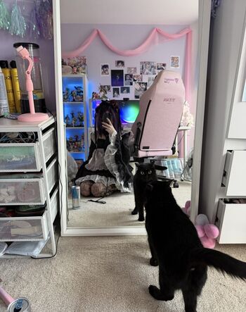Digitalkatt