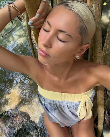 Iris Law