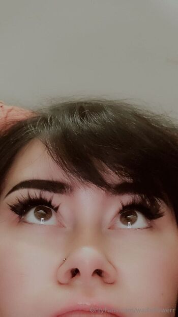 waifuflowerr